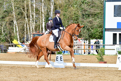 Reitsportzentrum Bremervörde | 170421 Dressurreiter L_138 