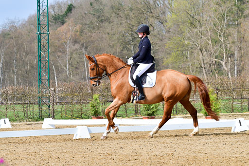 Reitsportzentrum Bremervörde | 170421 Dressurreiter L_139 