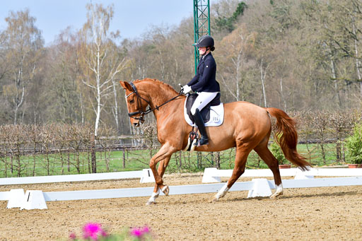 Reitsportzentrum Bremervörde | 170421 Dressurreiter L_140 
