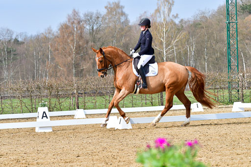 Reitsportzentrum Bremervörde | 170421 Dressurreiter L_141 