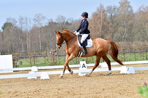 Reitsportzentrum Bremervörde | 170421 Dressurreiter L_142 