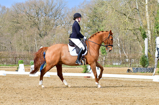 Reitsportzentrum Bremervörde | 170421 Dressurreiter L_143 