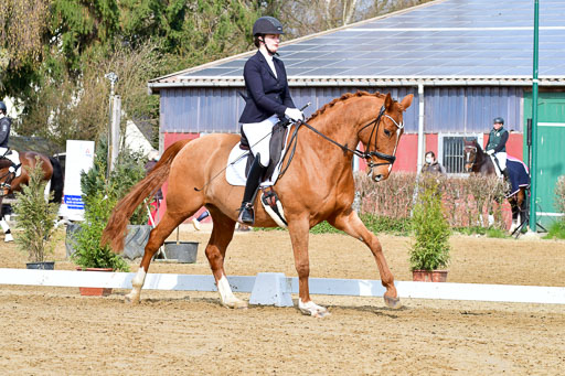 Reitsportzentrum Bremervörde | 170421 Dressurreiter L_144 