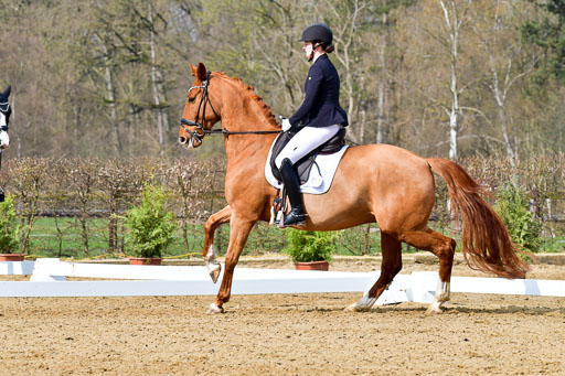 Reitsportzentrum Bremervörde | 170421 Dressurreiter L_145 