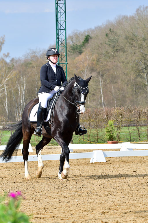 Reitsportzentrum Bremervörde | 170421 Dressurreiter L_147 