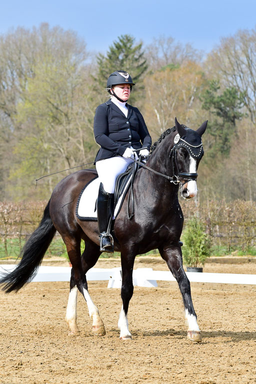 Reitsportzentrum Bremervörde | 170421 Dressurreiter L_149 