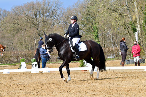 Reitsportzentrum Bremervörde | 170421 Dressurreiter L_151 