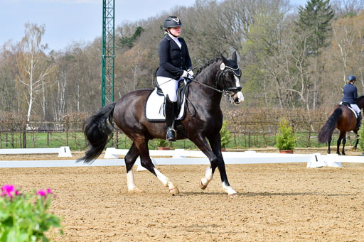 Reitsportzentrum Bremervörde | 170421 Dressurreiter L_155 