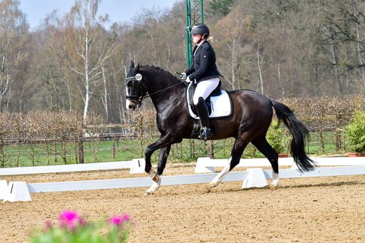 Reitsportzentrum Bremervörde | 170421 Dressurreiter L_156 