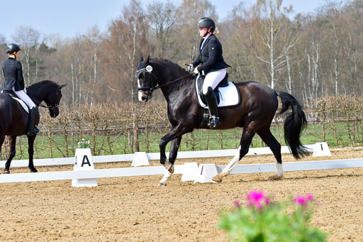 Reitsportzentrum Bremervörde | 170421 Dressurreiter L_157 