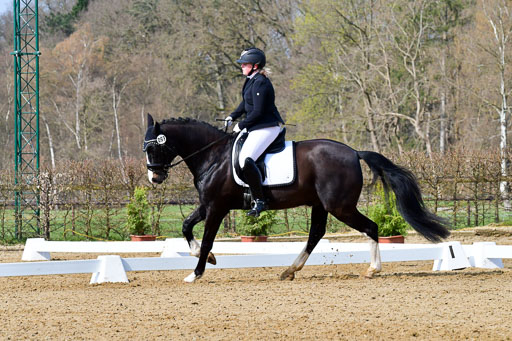 Reitsportzentrum Bremervörde | 170421 Dressurreiter L_158 