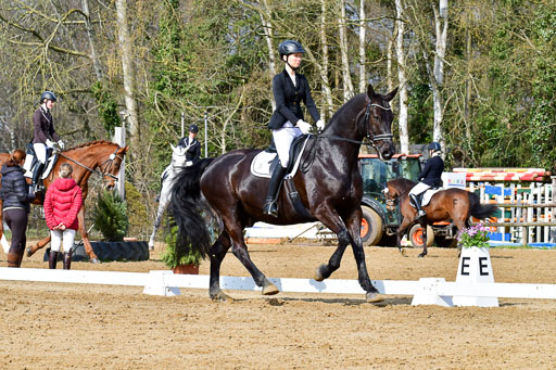 Reitsportzentrum Bremervörde | 170421 Dressurreiter L_160 