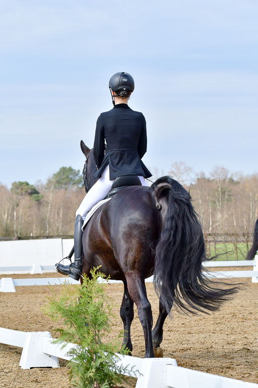 Reitsportzentrum Bremervörde | 170421 Dressurreiter L_161 
