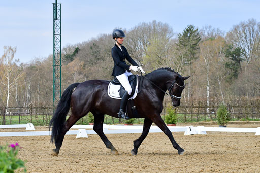 Reitsportzentrum Bremervörde | 170421 Dressurreiter L_166 