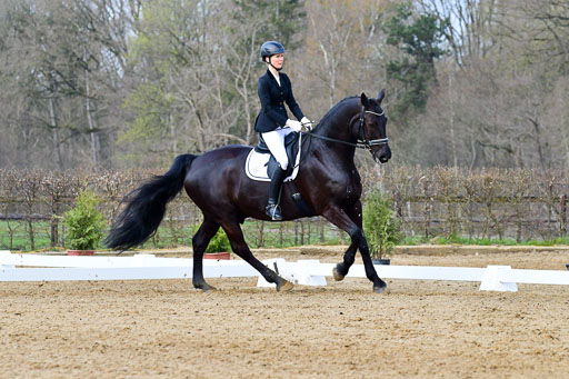 Reitsportzentrum Bremervörde | 170421 Dressurreiter L_169 