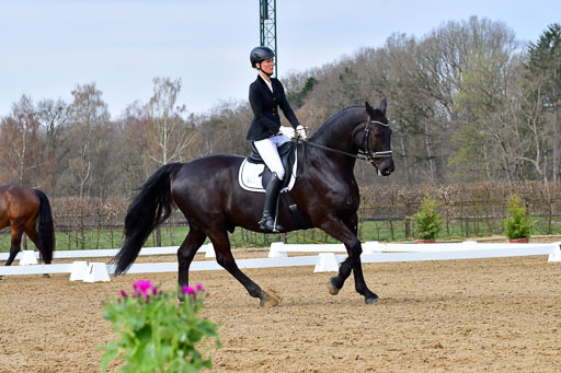 Reitsportzentrum Bremervörde | 170421 Dressurreiter L_170 