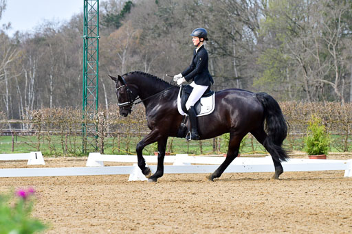 Reitsportzentrum Bremervörde | 170421 Dressurreiter L_171 