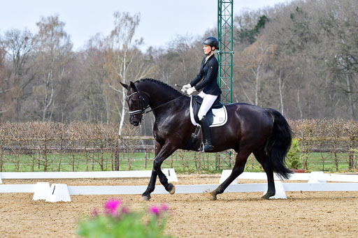 Reitsportzentrum Bremervörde | 170421 Dressurreiter L_172 