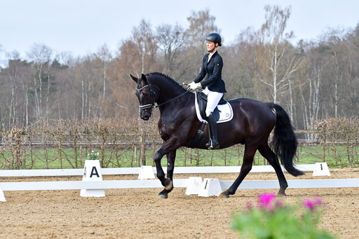 Reitsportzentrum Bremervörde | 170421 Dressurreiter L_173 