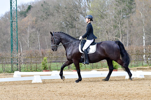 Reitsportzentrum Bremervörde | 170421 Dressurreiter L_174 