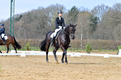 Reitsportzentrum Bremervörde | 170421 Dressurreiter L_175 