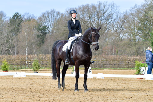 Reitsportzentrum Bremervörde | 170421 Dressurreiter L_176 