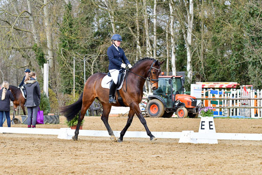 Reitsportzentrum Bremervörde | 170421 Dressurreiter L_178 