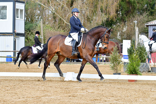 Reitsportzentrum Bremervörde | 170421 Dressurreiter L_179 