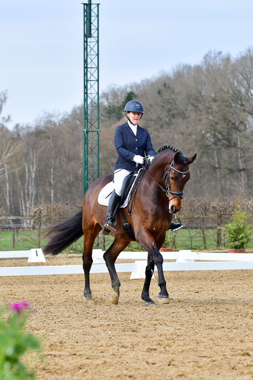 Reitsportzentrum Bremervörde | 170421 Dressurreiter L_182 