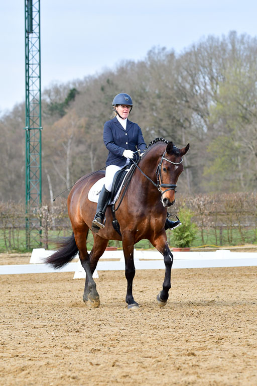Reitsportzentrum Bremervörde | 170421 Dressurreiter L_183 