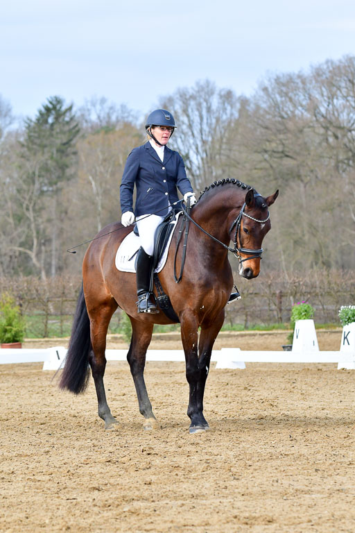 Reitsportzentrum Bremervörde | 170421 Dressurreiter L_184 