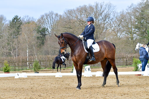 Reitsportzentrum Bremervörde | 170421 Dressurreiter L_186 