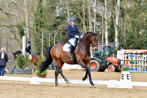Reitsportzentrum Bremervörde | 170421 Dressurreiter L_187 