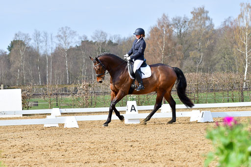 Reitsportzentrum Bremervörde | 170421 Dressurreiter L_190 