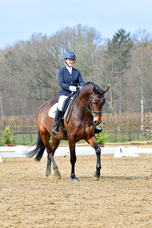 Reitsportzentrum Bremervörde | 170421 Dressurreiter L_192 