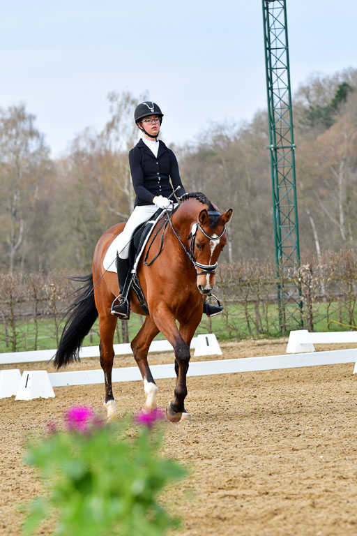 Reitsportzentrum Bremervörde | 170421 Dressurreiter L_196 
