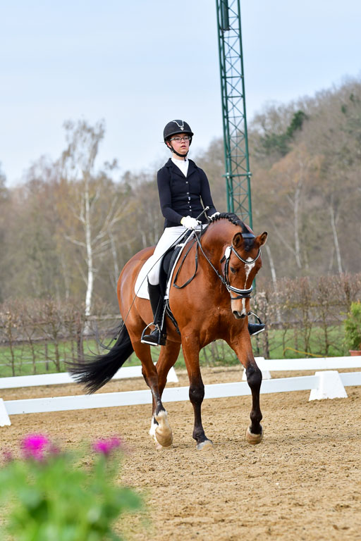 Reitsportzentrum Bremervörde | 170421 Dressurreiter L_197 
