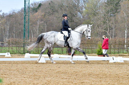 Reitsportzentrum Bremervörde | 170421 Dressurreiter L_216 
