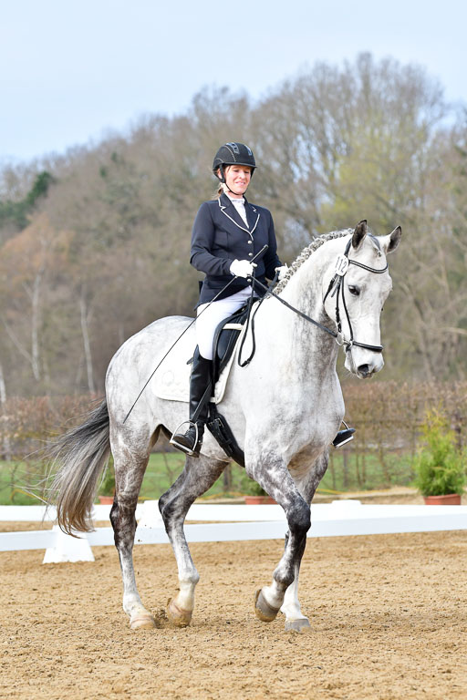 Reitsportzentrum Bremervörde | 170421 Dressurreiter L_220 