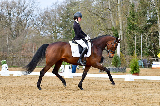 Reitsportzentrum Bremervörde | 170421 Dressurreiter L_223 