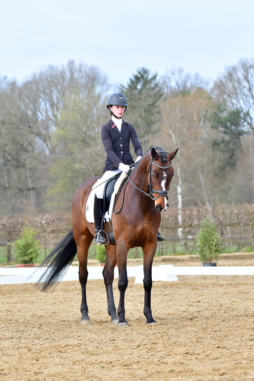 Reitsportzentrum Bremervörde | 170421 Dressurreiter L_226 
