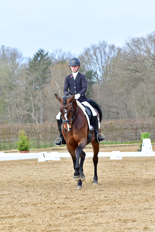 Reitsportzentrum Bremervörde | 170421 Dressurreiter L_229 