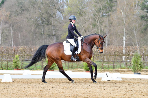 Reitsportzentrum Bremervörde | 170421 Dressurreiter L_231 