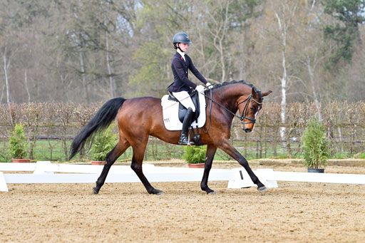 Reitsportzentrum Bremervörde | 170421 Dressurreiter L_232 