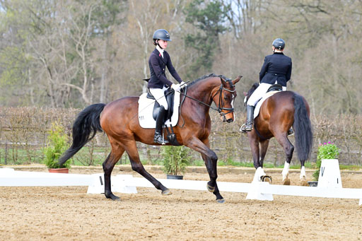 Reitsportzentrum Bremervörde | 170421 Dressurreiter L_233 