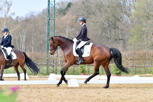Reitsportzentrum Bremervörde | 170421 Dressurreiter L_234 