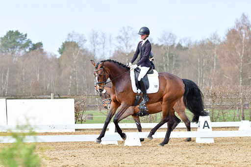 Reitsportzentrum Bremervörde | 170421 Dressurreiter L_235 
