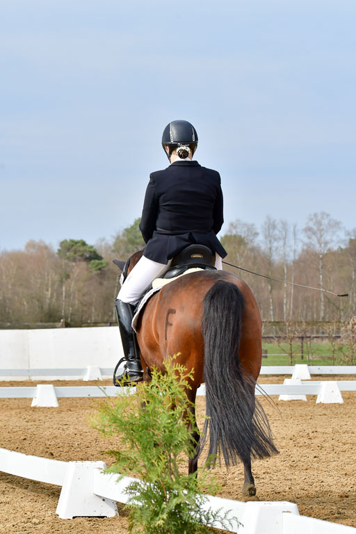 Reitsportzentrum Bremervörde | 170421 Dressurreiter L_237 
