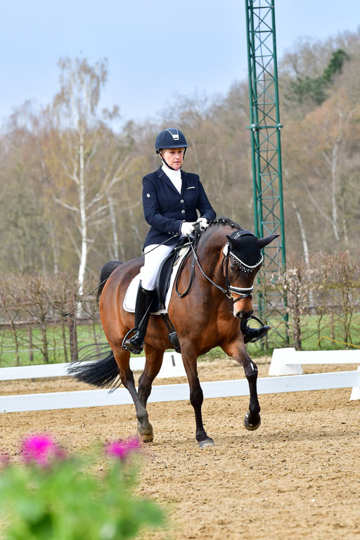 Reitsportzentrum Bremervörde | 170421 Dressurreiter L_238 