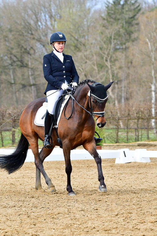 Reitsportzentrum Bremervörde | 170421 Dressurreiter L_239 